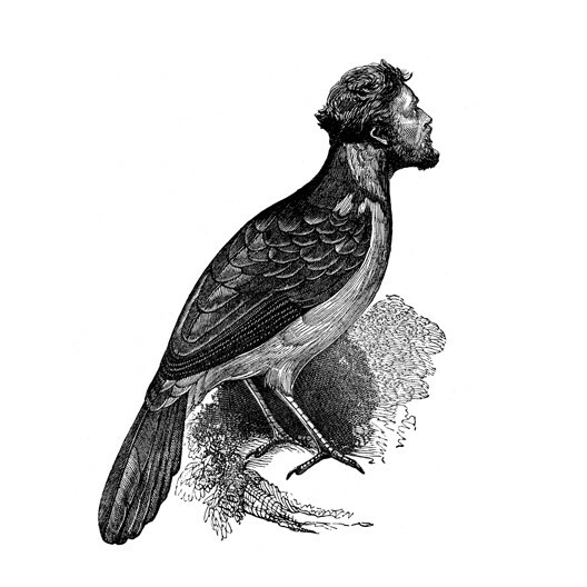 Ο Dan Hillier ξαναζωντανεύει σχέδια αιώνων