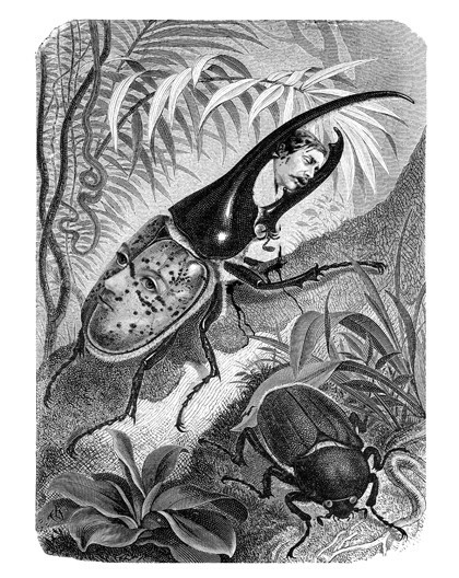Ο Dan Hillier ξαναζωντανεύει σχέδια αιώνων
