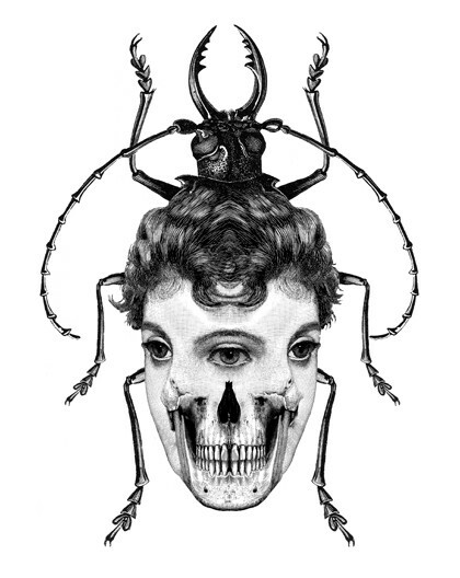 Ο Dan Hillier ξαναζωντανεύει σχέδια αιώνων