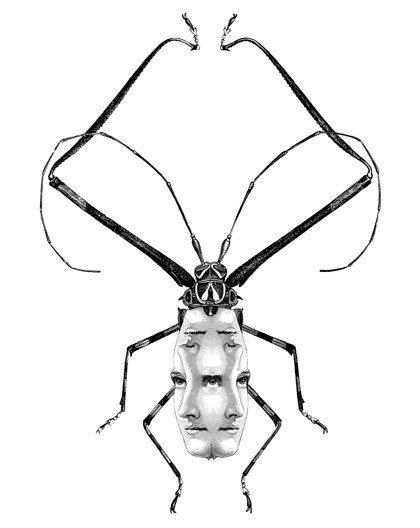 Ο Dan Hillier ξαναζωντανεύει σχέδια αιώνων