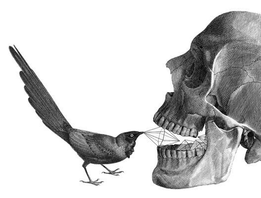 Ο Dan Hillier ξαναζωντανεύει σχέδια αιώνων