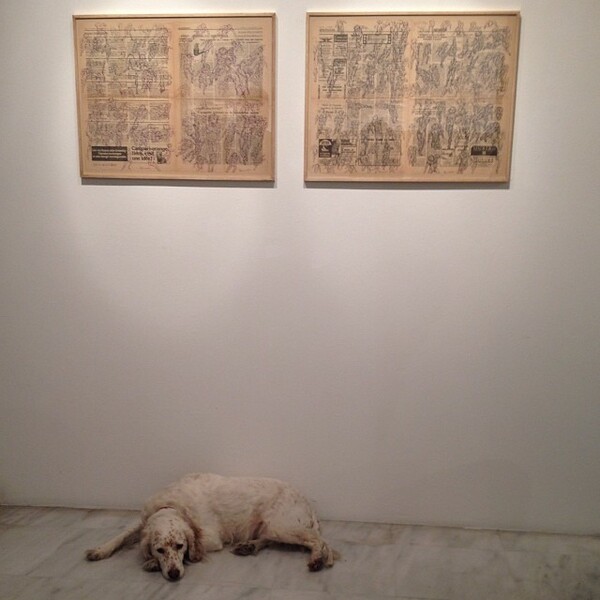 #LIFOPETS (25): Αυτά είναι τα κατοικίδιά μας