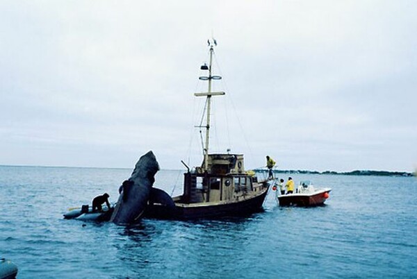 Σπάνιες φωτογραφίες από τα γυρίσματα του Jaws