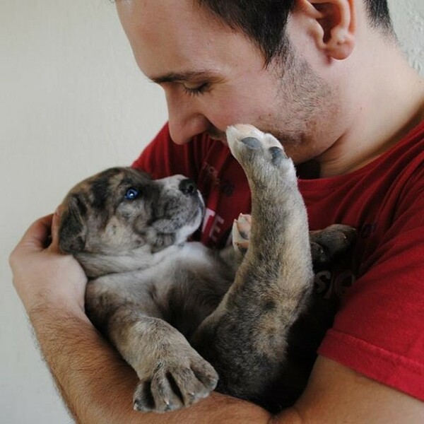 #LIFOPETS (12): Αυτά είναι τα κατοικίδιά μας