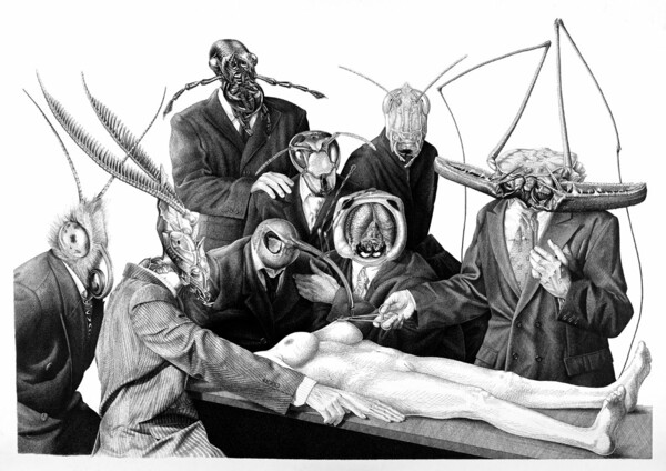 Ο Dan Hillier ξαναζωντανεύει σχέδια αιώνων