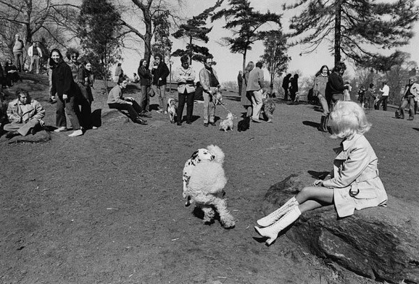 Η 70s μαγεία της Νέας Υόρκης σε 43 φωτογραφίες 