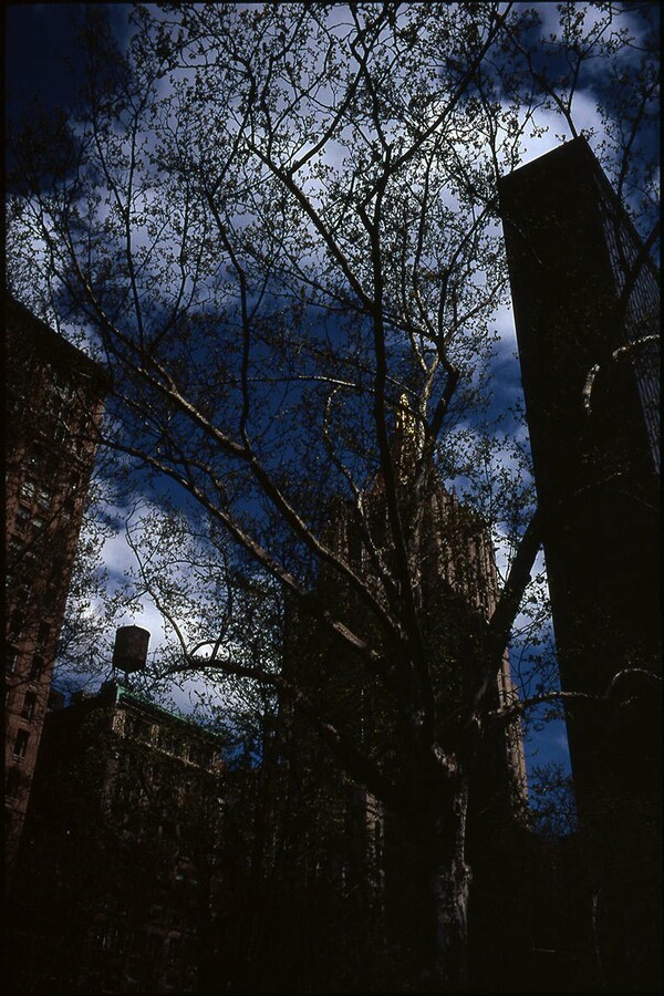 New York Water Tanks