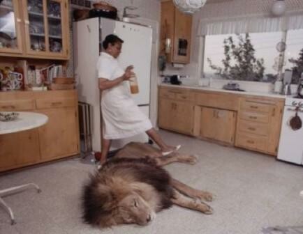 Όταν η οικογένεια της Melanie Griffith ζούσε με λιοντάρια (αρχές 1970s)