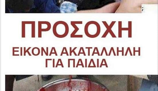 Όχι, αυτές ΔΕΝ είναι οι 12 Σύριες από το Χαλέπι