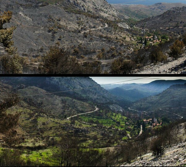 Χίος, 8 μήνες μετά τη φωτιά, μία (φωτο)περιπλάνηση