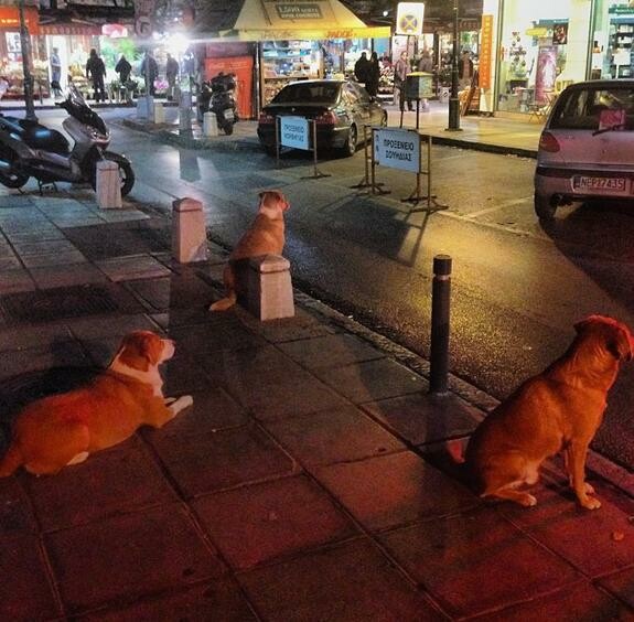 INSTA#LIFO: Παρασκευή 10 Ιανουαρίου