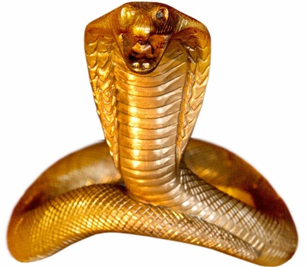 To design στην υπηρεσία των sex toys