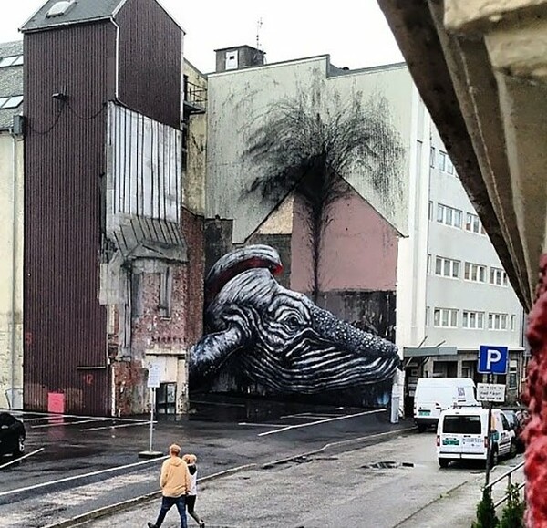 Ολοκαίνουριος ROA, σε Μπρούκλιν, Πορτογαλία, Πολωνία, και Νορβηγία.