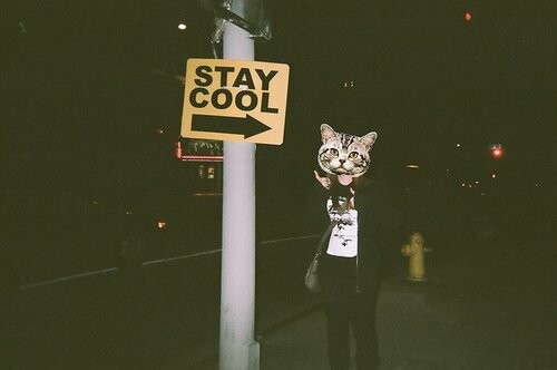 Tumblrorama #24