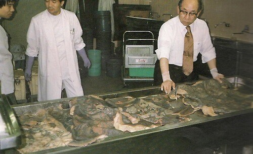 To wtf της ημέρας: Ανθρώπινα δέρματα φυλάσσονται σε μουσείο του Τόκιο.