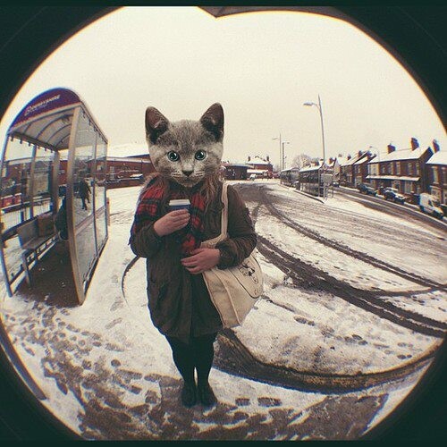 Tumblrorama #24
