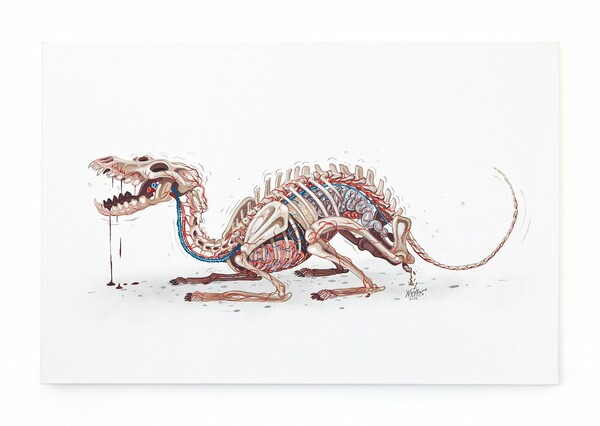Nychos: Μαθήματα ανατομίας από τον street artist που λατρεύει να διαμελεί
