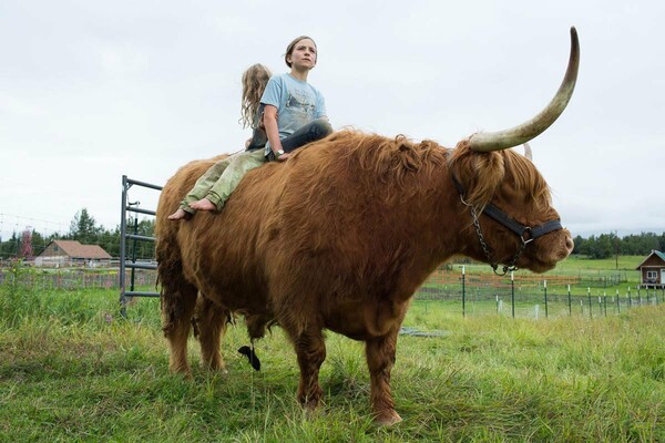 Modern Farmer