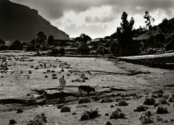 Genesis. Sebastião Salgado