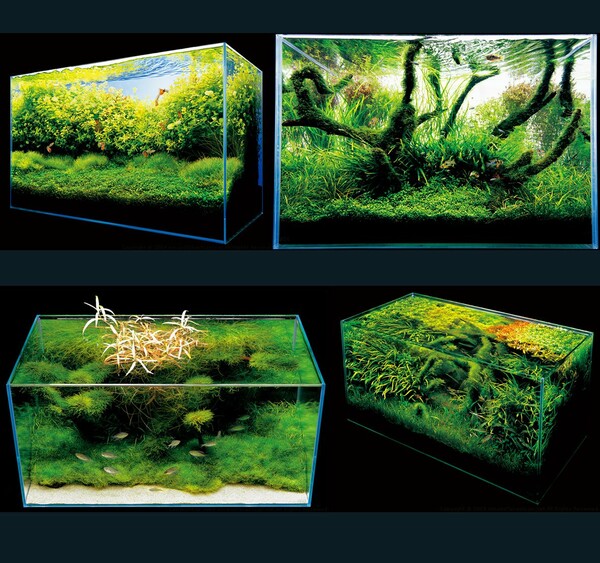 Aquascaping από τον Takashi Amano.