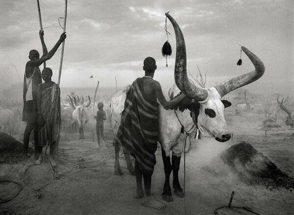 Genesis. Sebastião Salgado