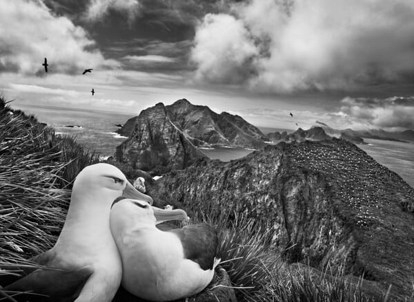 Genesis. Sebastião Salgado