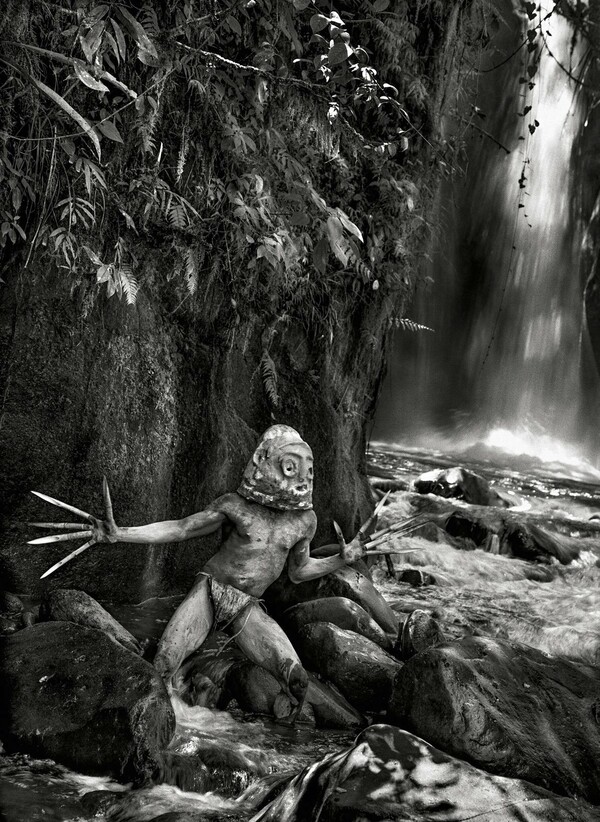 Genesis. Sebastião Salgado