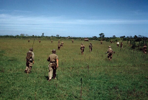 Capa in color.