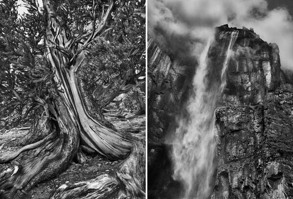 Genesis. Sebastião Salgado