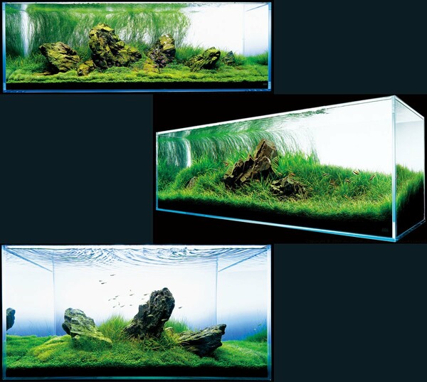 Aquascaping από τον Takashi Amano.