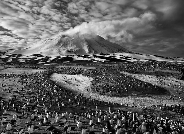 Genesis. Sebastião Salgado