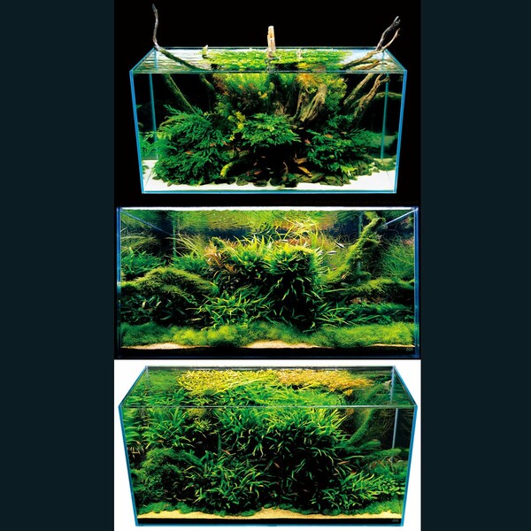 Aquascaping από τον Takashi Amano.