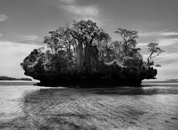 Genesis. Sebastião Salgado