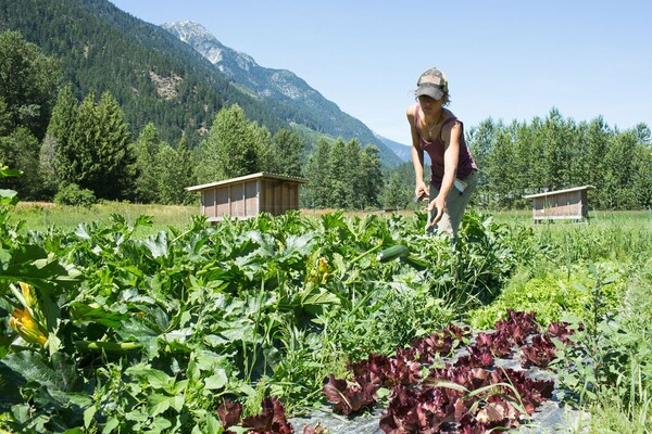Modern Farmer