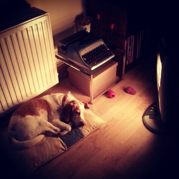 #LIFOPETS (25): Αυτά είναι τα κατοικίδιά μας