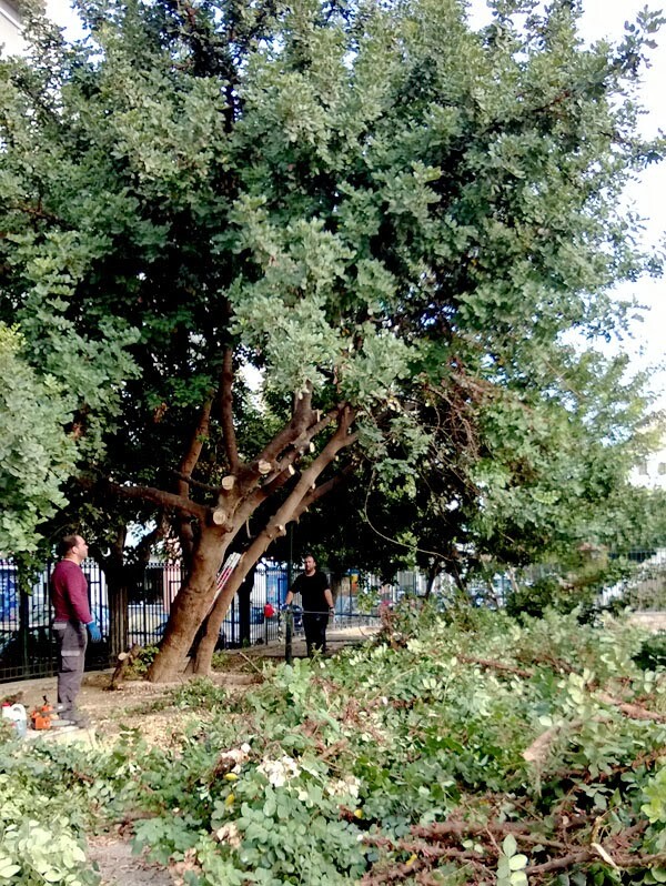 Η άβατη παιδική χαρά έσπασε!