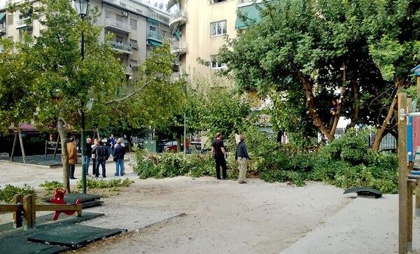 Η άβατη παιδική χαρά έσπασε!