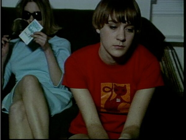 Ένα ακυκλοφόρητο φιλμάκι με την Chloe Sevigny και την Kim Gordon (1995)