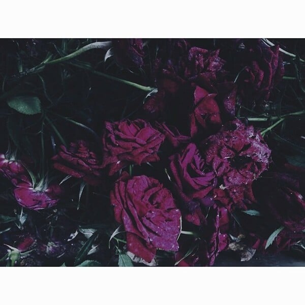 INSTA#LIFO: Tρίτη 10 Ιουνίου