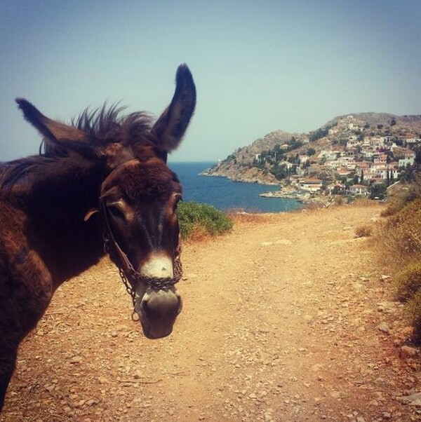 INSTA#LIFO: Πέμπτη 10 Ιουλίου