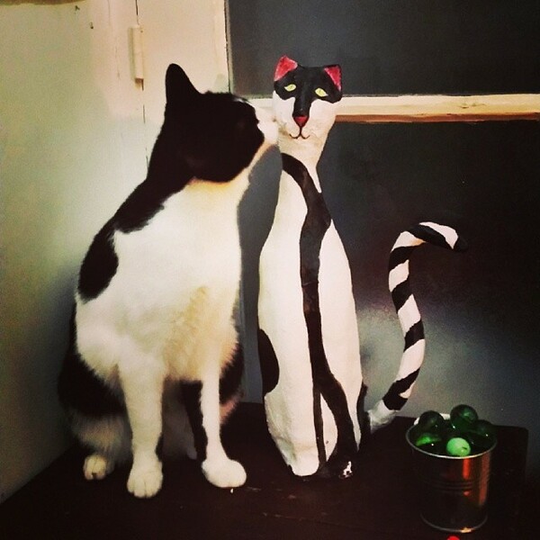 #LIFOPETS (35): Αυτά είναι τα κατοικίδιά μας