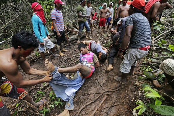 Ο πόλεμος των δέντρων στον Αμαζόνιο