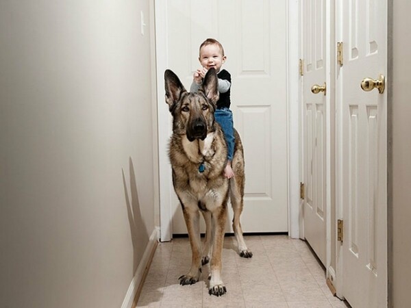 22 παιδάκια και οι μεγάλοι σκύλοι τους