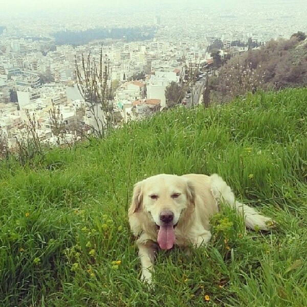 INSTA#LIFO: Δευτέρα 17 Μαρτίου 