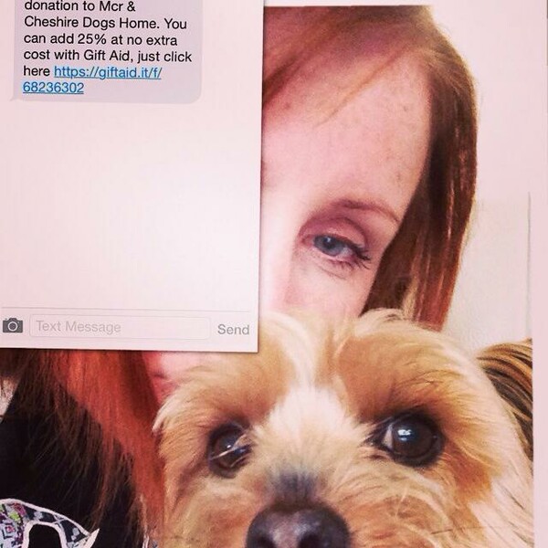 #dogselfie για καλό σκοπό