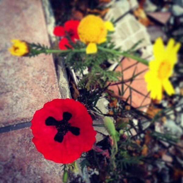 INSTA#LIFO: Πέμπτη 17 Απρίλιου