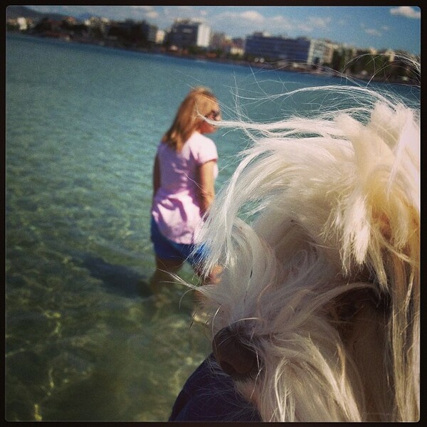 #LIFOPETS (35): Αυτά είναι τα κατοικίδιά μας