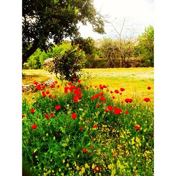 INSTA#LIFO: Δευτέρα 14 Απριλίου