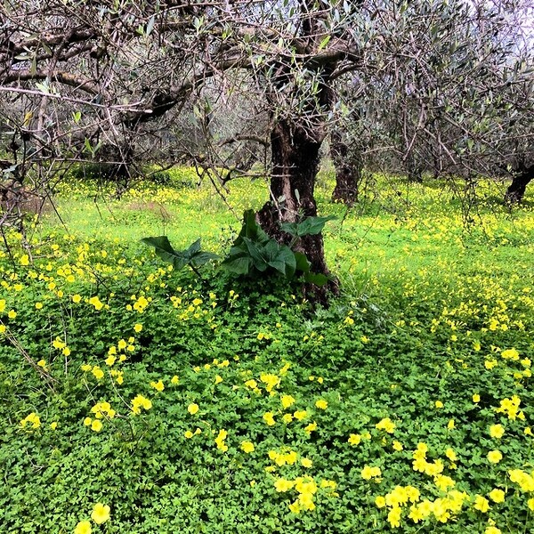 INSTA#LIFO: Παρασκευή 28 Φεβρουαρίου