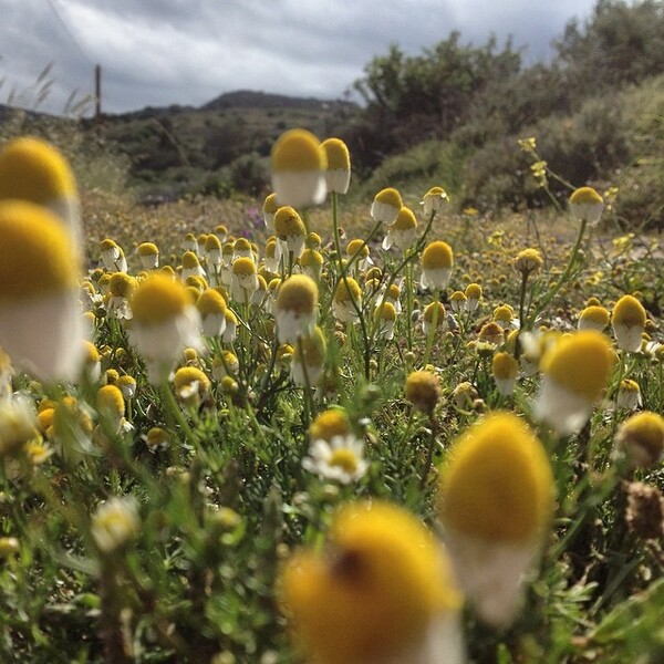 INSTA#LIFO: Παρασκευή 18 Απριλίου